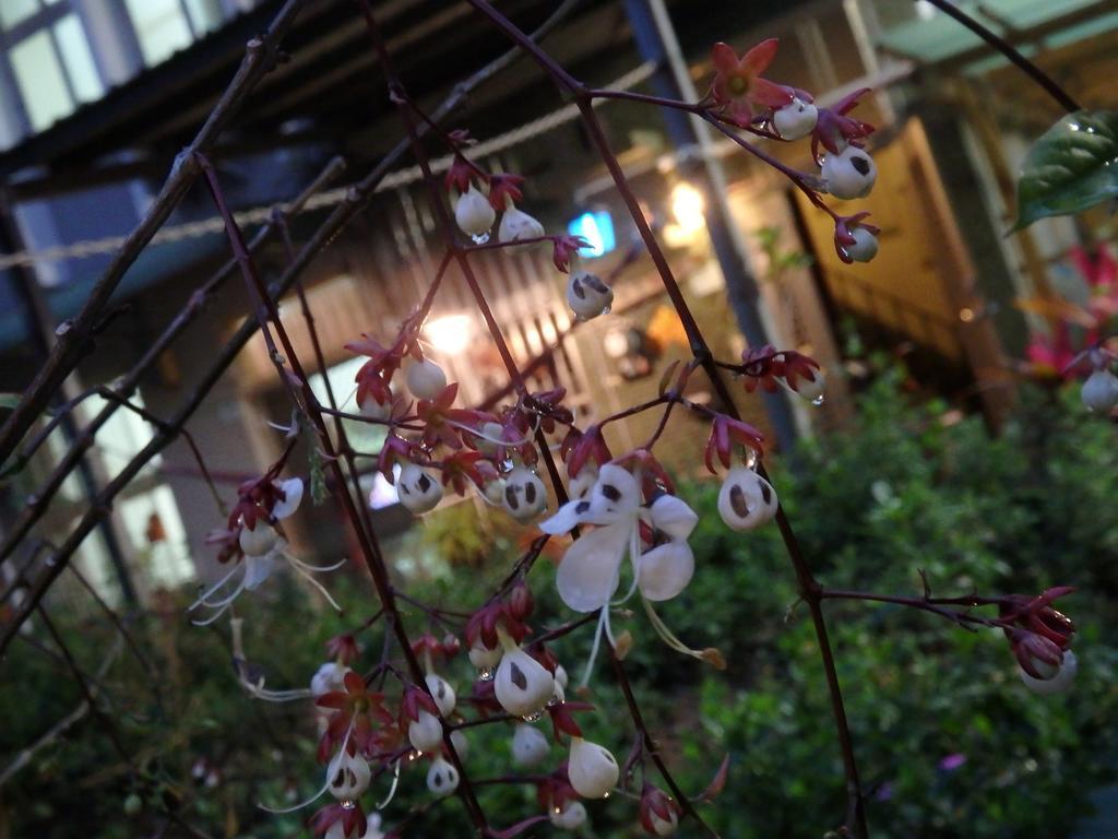 Tainan Guest House Hamuya Екстер'єр фото